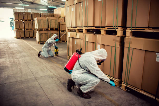 Best Termite Control Services  in Marion, TX