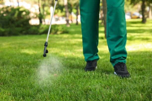 Insect Control in Marion, TX