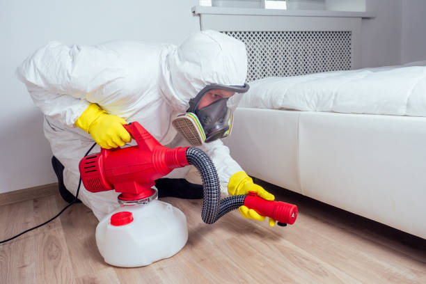 Best Pest Removal Services  in Marion, TX