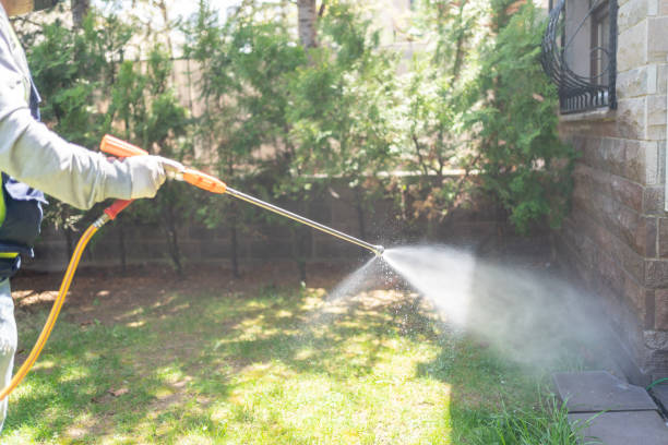 Best Rat Extermination Near Me  in Marion, TX