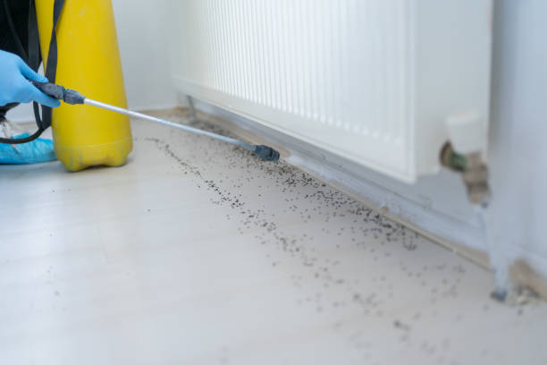 Best Affordable Pest Control Services  in Marion, TX